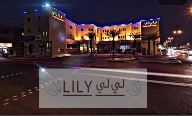 Aparthotel Lily Mubarraz 3*